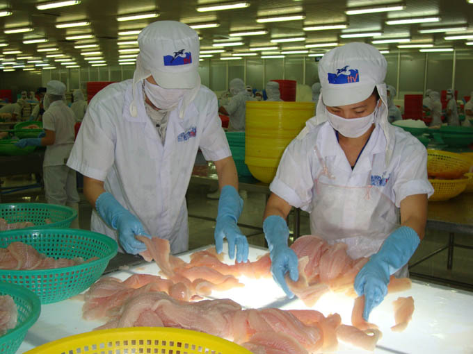 Ở Việt Nam, chỉ có các nhà máy chế biến thuỷ sản xuất khẩu buộc phải áp dụng HACCP, và cơ quan chức năng sẽ kiểm tra đánh giá. Các ngành thực phẩm khác thì nhà nước khuyến khích. Ảnh: TL 