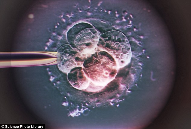Phương pháp IVF lâu nay: một phôi nuôi trong phòng lab được chuẩn bị để đưa vào tử cung.