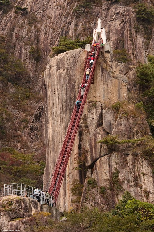 Cây cầu trông như chiếc thang khổng lồ trong vườn quốc gia ở tỉnh Daedunsan, Hàn Quốc.
