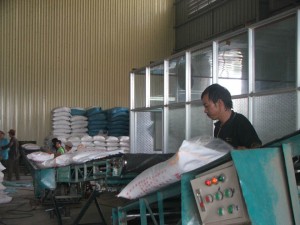 Doanh nghiệp không dám ký hợp đồng xuất khẩu gạo vì sợ thiếu hàng