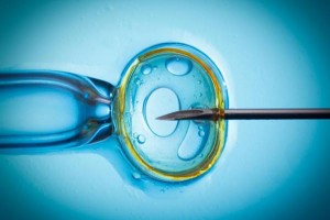 Các nhà nghiên cứu của Mỹ đã không tìm thấy sự khác biệt đáng kể về phát triển tâm thần ở trẻ ra đời bằng phương pháp thụ tinh trong ống nghiệm (IVF) và trẻ sinh bình thường.