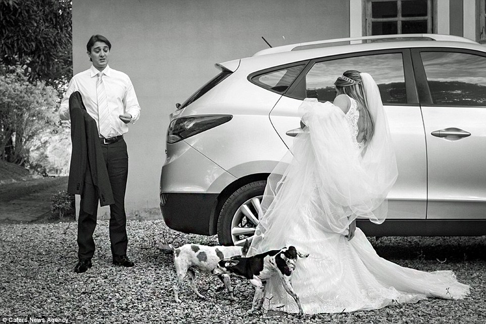 Một cô dâu không may mắn khi chú chó chọn áo cô làm nơi để giở cẳng. Một bức ảnh đám cưới để đời.