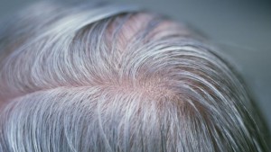 Các nhà khoa học của University College London (Anh quốc) vừa nhận diện một gien chịu trách nhiệm về bạc tóc, khám phá có thể giúp con người làm chậm hoặc ngăn ngừa dấu hiệu lão hóa tự nhiên này.