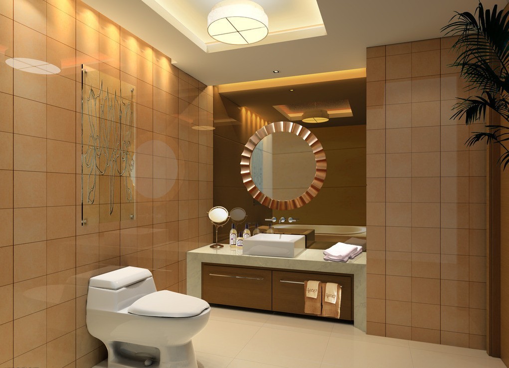 hotel-toilet-designs-d-house-free-d-house-pictures-and-wallpaper-toilet-design-home-design-12