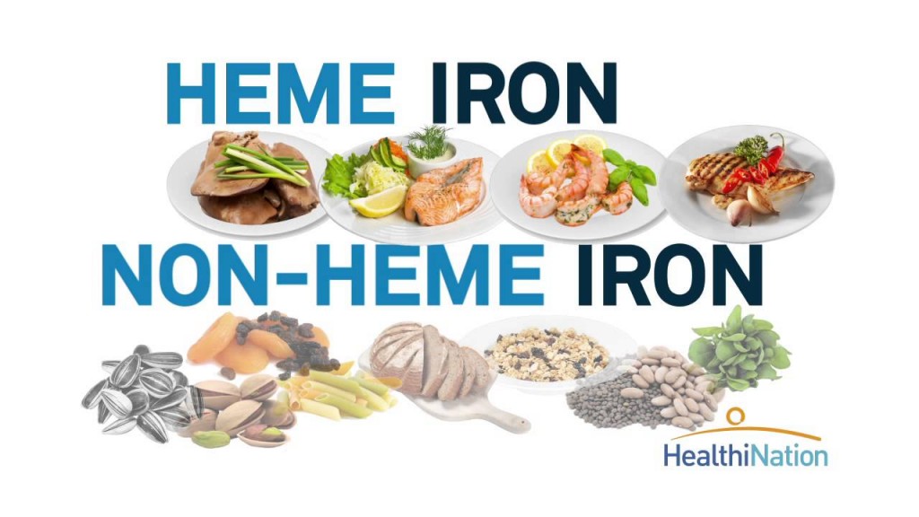 heme-iron-and-non-heme-iron