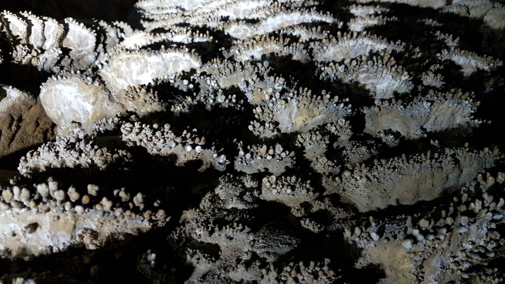 Thạch nhũ ở đây xếp lớp như san hô dưới đáy biển.