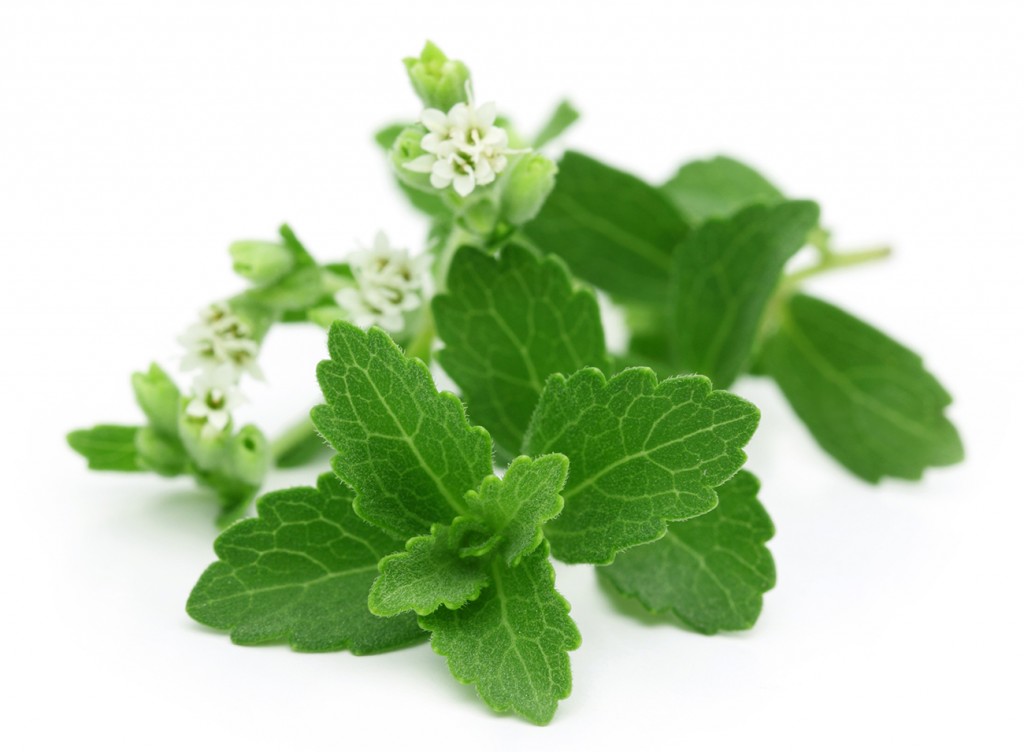 stevia_leafandflower