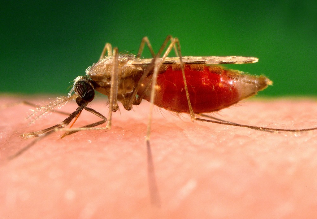Các nhà khoa học phải dùng cụm từ “siêu sốt rét” ("super malaria") để chỉ bệnh sốt rét kháng thuốc bất trị đang lan tràn nhanh ở Đông Nam Á trong đó có Việt Nam.