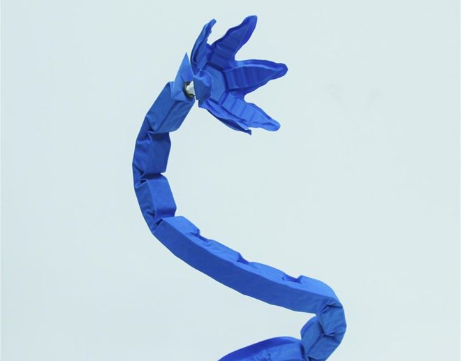 blue_snake_arm_crop1